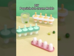 GJ2916 โมลด์ไอศกรีมป๊อปซิเกิล